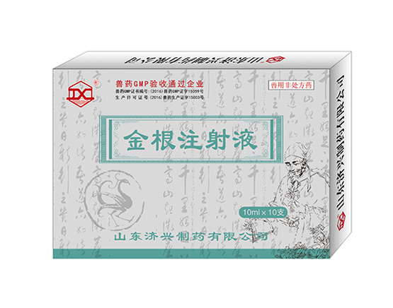 金根注射液10ml